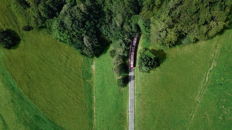 Waldbahn.