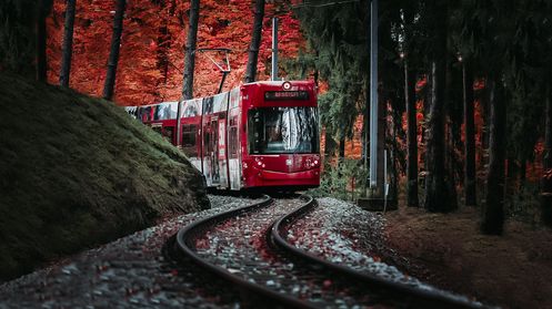 Belebung der Waldstraßenbahn - Linie 6