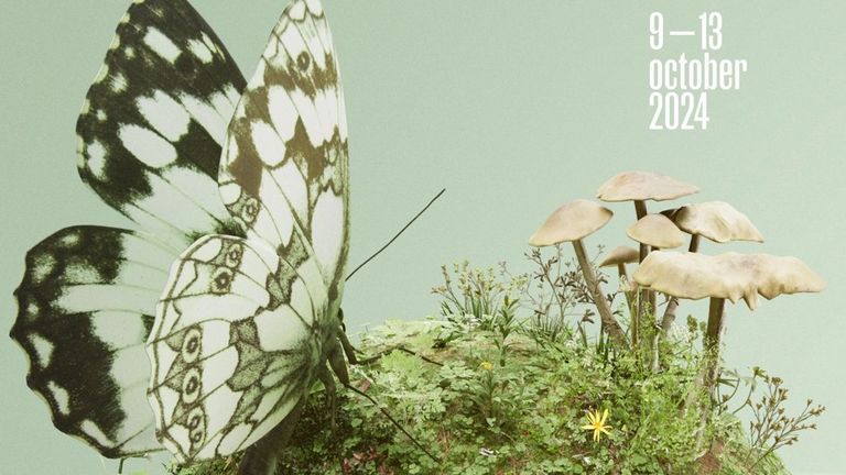 Plakat innsbruck nature film festival