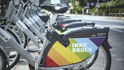 Fahrt in den Frühling
