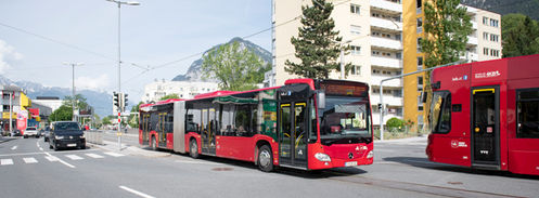 Der Fünfhunderste