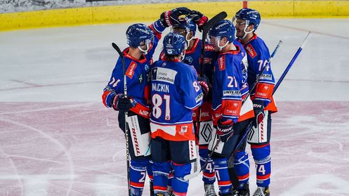 HC Innsbruck Haie im Höhenflug