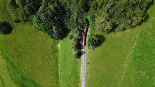 Tramlesung in der Waldbahn